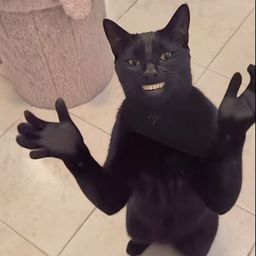 CCAT