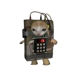 Coin image for 2RY99fACSs7o7GqUebmo5wLsHCT76E9sWJLobPQNpump