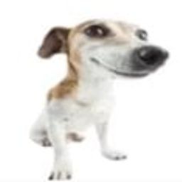 Coin image for 2RqjRePoe4BZ36DBV2qZHtb49d1PwPkVDAGjNMsSpump
