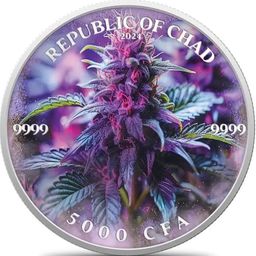 Coin image for 2RuXVzof6gMjpRoS5txSNTJBouVywpXQeSB7JGUkpump