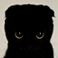 Coin image for 2SE7PMKj7qKAppWJvJN4ob9UyZy6N5Sd7LDBdGdSpump