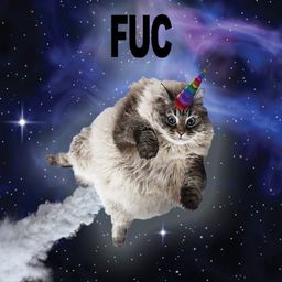 Coin image for 2TQNPyLuPtdvjTMrcgYeVSDwqJPmAVoGqs4kTyK3pump