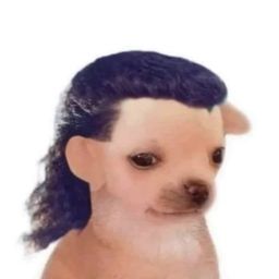 Coin image for 2UAgcssfPdfGUHXMVdtbW5QNgqxLRAzaP7ya93Nqpump