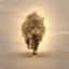 Coin image for 2VikioJDnQndDUgVkR1xKWe6GzSwhEJuZgR5LBdSpump