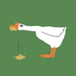 Coin image for 2XZxicDfGH65vXJy4dYSq3F2hegfiqT8im6qMnSWpump