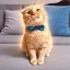 Coin image for 2XfqxBTZqMPSeRuGQ6xjaw6b7fYcU9JXoGC2z5sxCZpk