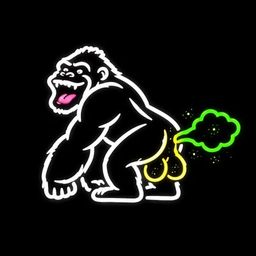 Coin image for 2XointNAybP11iRBA3PqUHqeTrsW5BxTCduYTvGwpump