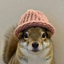 Coin image for 2ZC9tyxfBeB4GTaDmPp7KFYSUDUAaQzyDc4CwhRspump