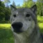 Coin image for 2ZZMeEeET42kdmRYpFyx2Vh947C7YVm3Snexzgg7aEjj