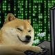 Coin image for 2ZseuCkyX1QFbCZ4yGFyqjeoKZM2p4yXjqaVUzE8pump