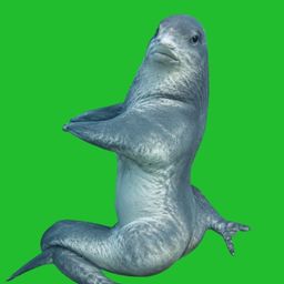 Coin image for 2Zt6xc1Jz7v4eMTYdMGSV81jsan7mgUNDYN1sDVKfzLP