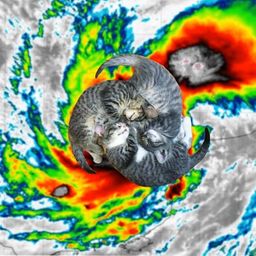 Coin image for 2aTwarMnfjSbyq5YteoWmHMnVFDDP63CS3KBAoqkpump