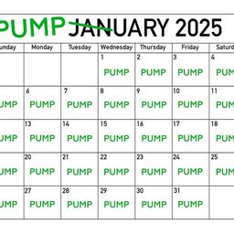Coin image for 2ajjDSTnppdRpPLp3DhFmiwNHh42xGoGTv3qfqgMpump