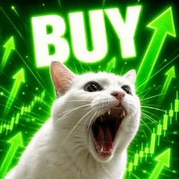 Coin image for 2bJs9PE5xMLnjSd8dru6oyH5kJFPutmjtHZuZ2CSpump