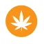 Coin image for 2bTQMzExSpFnZB7JbyuHt7YZM76PEXJuNJD9cm1iweed