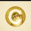 Coin image for 2bfwTJyaGdWgoMVHKyZDMuwT9T2eNXknZbGtkojLpump