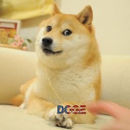Coin image for 2biticGnqX3hAKSB9B8a57YjVNkmUtWWwYZ8VyJYpump