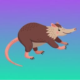 Coin image for 2cAdWpP8oqFun391vdXBywnFSsWuD7zhbiK6qEAhpump