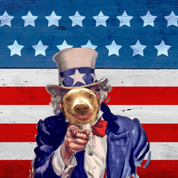 Coin image for 2csUxdqMzBwPsXSodHooRWo7XWtpLJXxA3LsJ111pump
