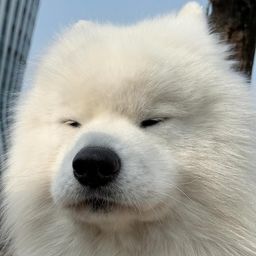 Coin image for 2dLS2MHBPcwd5twC3et3TKXezn5EmWsJAK4Fqijbpump