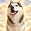 Coin image for 2eRiCeHne6vMgHsPhdQTtxxisAtqeUDNFxoiHY8Wpump