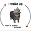 Coin image for 2f2Zj17oQYWCNAYtvqKpVAxTbkguEoBDpzogCUKqpump