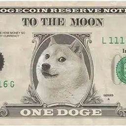 Coin image for 2gpC2XPaxWWW8yttVTuiDKVz8LDgKNKomyuNvASHpump