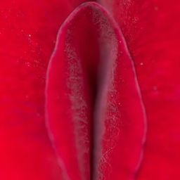 Coin image for 2iCzTMUbU3TwL67foHNZpntvq7an2DCT68AX8Ln2pump