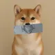 Coin image for 2iU5nkfvEvSix9M2ToFdXe3dxLLAatDFU5MHE4uHpump