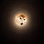 Coin image for 2jEerc1TvfYqmJmnoFSYRHmPVcPeTDpyumQv4Cn6pump