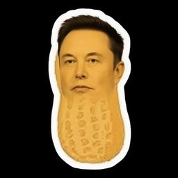 Coin image for 2mwuAAGJF4JARSV3YEEuQQPMdF9b3hrhqvRiBFa7pump