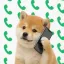 Coin image for 2nNLtx1GGfGMXRaYMdFucdxXxfzTWSbqQM4kyCD4pump