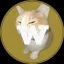 Coin image for 2ofkXcg7BDmLHFhNst8WWJsmAX9WjaZpvzFsgfxCpump