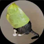 Coin image for 2ogq1GGDaPv5W1DQrSyMvxbRqwzi3B38boEktGKtpump
