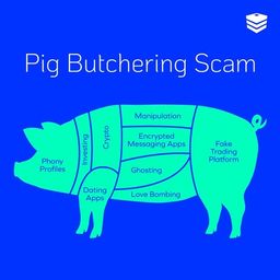 Coin image for 2pjkiYL58pYu9ShEr32zCergcNgPVtyb3C6tmEmKpump