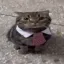 Coin image for 2ptiMtf8ZJvFJdMNjpiKo3JzHYzWPtebmcZGBzMSpump