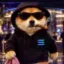 Coin image for 2vkT5qyzSAmWHFY5XXy3mrsNzChLCeEC7oNaqEUqpPiW