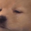 Coin image for 2wRs3EGEoJiWJMzPXREJMDxXHCB6WeprRumrtHGFpump