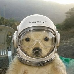 Coin image for 2wh6eYaPcXsLLpSHmxbjcWJsjbH5pQvxtasbncVfpump