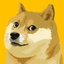 Coin image for 2xAYLLwmnNt8dqEY5TmovhHirahobQJWBKzWWLr6pump