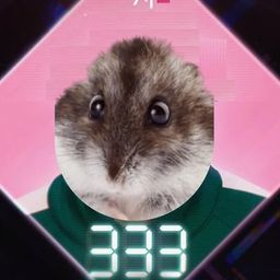 Coin image for 2xCwt8JTbA4WV9caFpWJbfChoB1ksJqCLMniC6yKpump