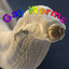 Coin image for 2yf6REAehWdpzVytjKZVoZL3RLmDq65TvYvsUXmdpump