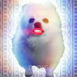 Coin image for 2yo5iVGKNap8R7AWhBdMJJtySV6qwsTY7vX4dwagpump