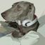 Coin image for 2zR54NfRA7aBFYg8zYmEhEDwrbsp3uHr2WqJUndSpump