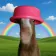 Coin image for 2zuN2yXRQbV7c9sgtCC7ssSKHX8wTxXewNsWBdwGwLrQ