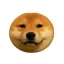 Coin image for 32Yw8mUFHdWQZfBmvHvzzv8QghXGyxjRsMBEZFNXpump