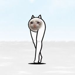 Coin image for 33CudVfQzRedFLrfMQG7WDDCdrxKw5DoAXZAtbVcpump