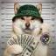 Coin image for 36cMoaR1hNLrQuoxxCuKGWD4r9z4oJMxq9ir74f7pump