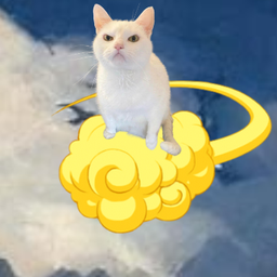 Coin image for 3AVvyMs1CSq1UZcsY6eFCpLLphoypxwnv8VpmEnipump