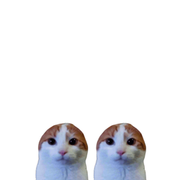 Coin image for 3BtocppxrhEfpDiLEPgf1WgKqMvJfjwUwDKNDgFWpump